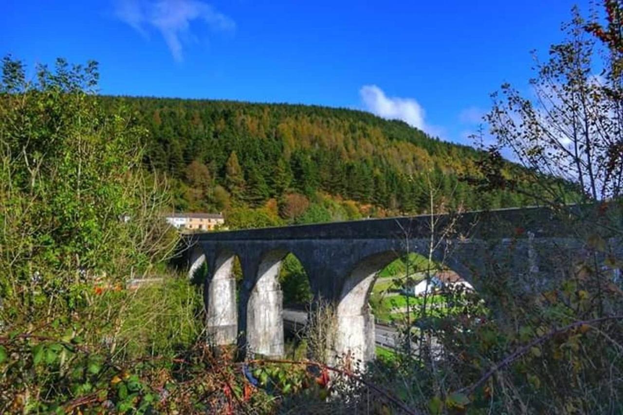 Selah Cottage, 21 Queen Street Pontrhydyfen エクステリア 写真