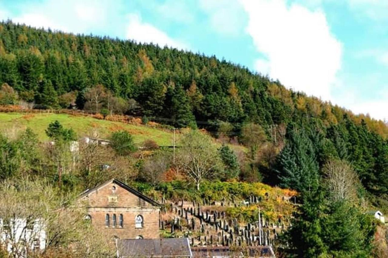 Selah Cottage, 21 Queen Street Pontrhydyfen エクステリア 写真