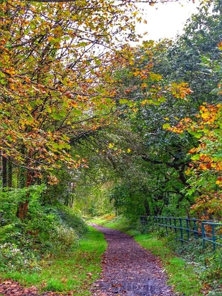 Selah Cottage, 21 Queen Street Pontrhydyfen 部屋 写真