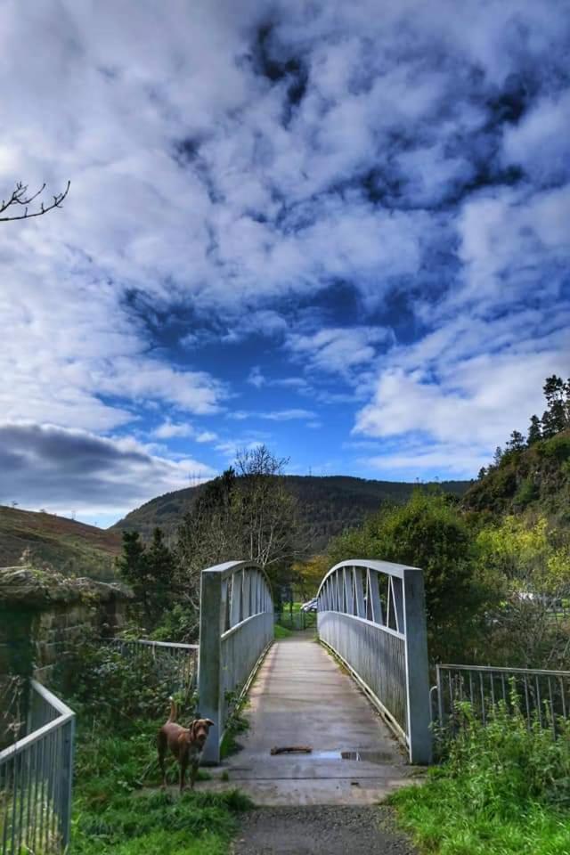 Selah Cottage, 21 Queen Street Pontrhydyfen 部屋 写真