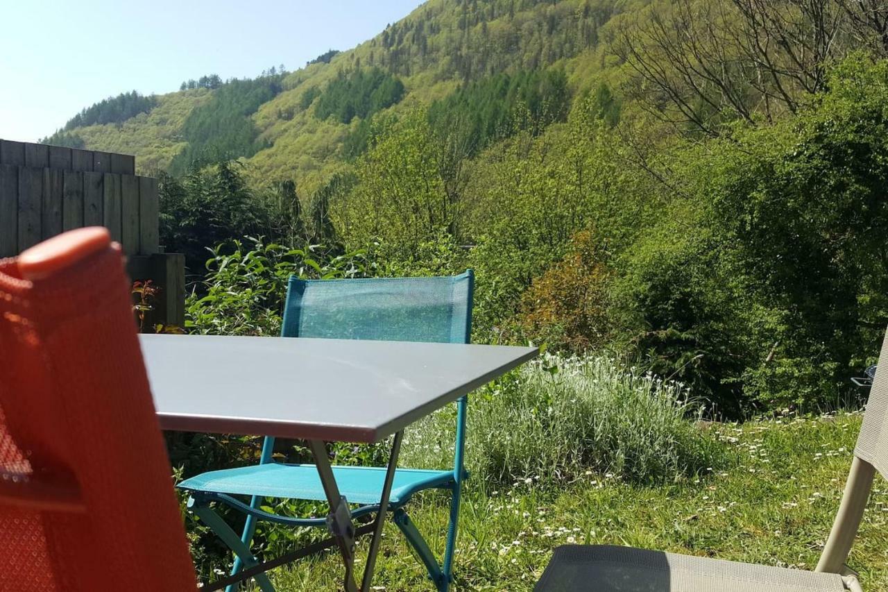Selah Cottage, 21 Queen Street Pontrhydyfen エクステリア 写真