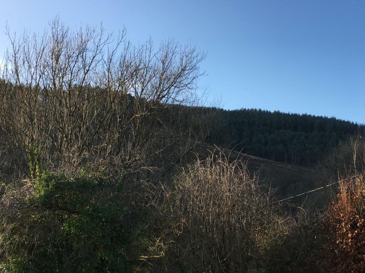 Selah Cottage, 21 Queen Street Pontrhydyfen エクステリア 写真
