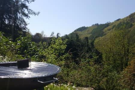 Selah Cottage, 21 Queen Street Pontrhydyfen エクステリア 写真
